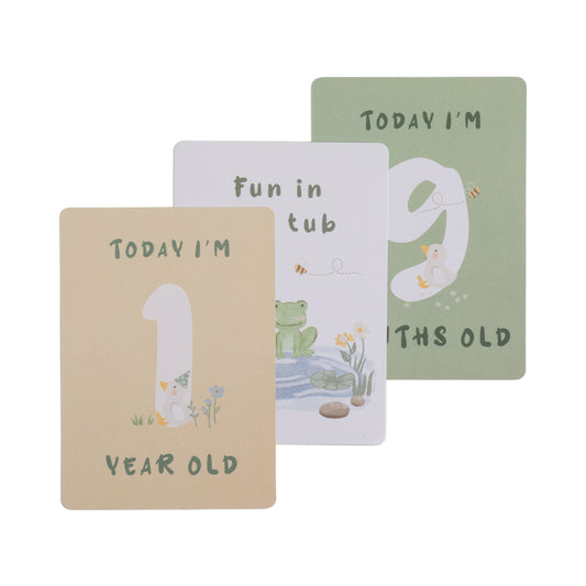 Milestone cards - Goosey Goosey